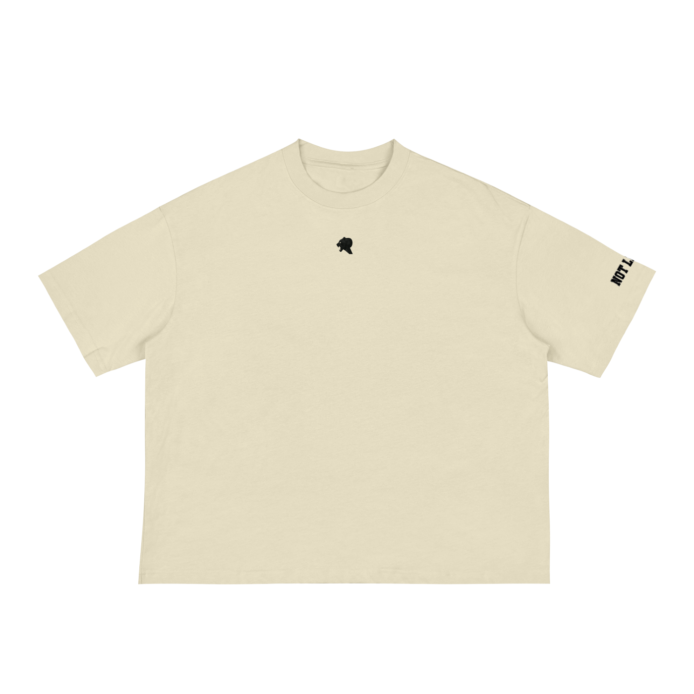 Classic Loose Boxy Tee